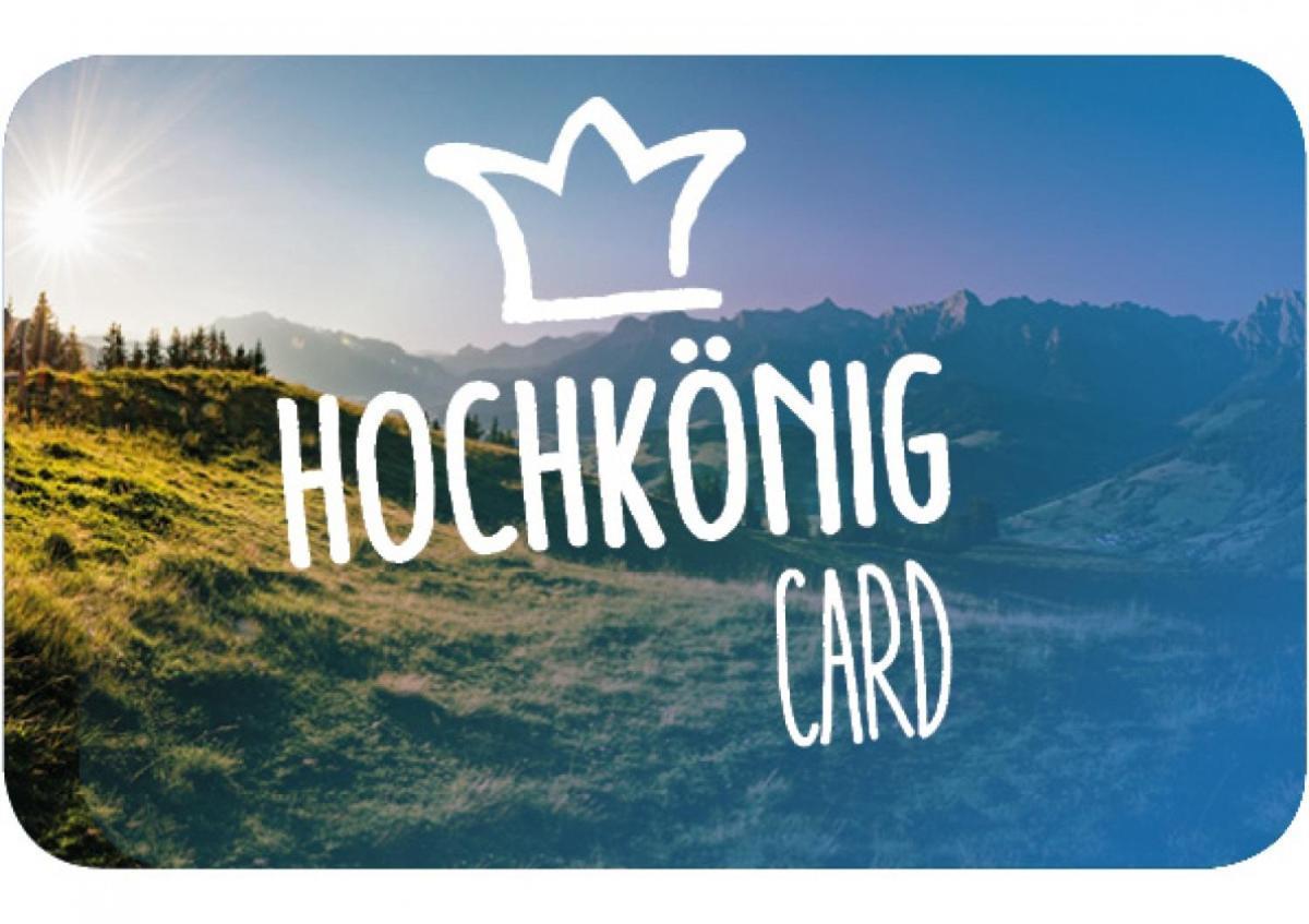 Апартаменти Haus Schneeberg Mit Hochkoenig Card Мюльбах-ам-Гохкеніг Екстер'єр фото