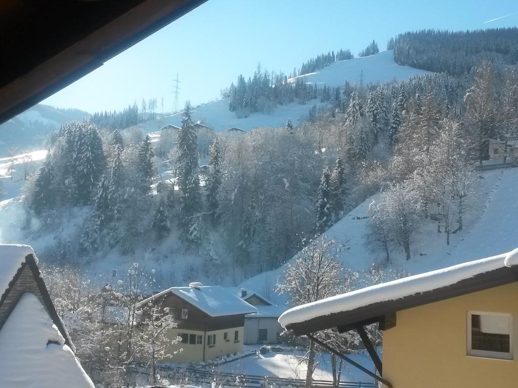 Апартаменти Haus Schneeberg Mit Hochkoenig Card Мюльбах-ам-Гохкеніг Екстер'єр фото